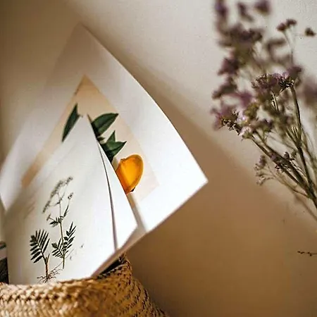 Goji Vegan Hotel Rhodes City