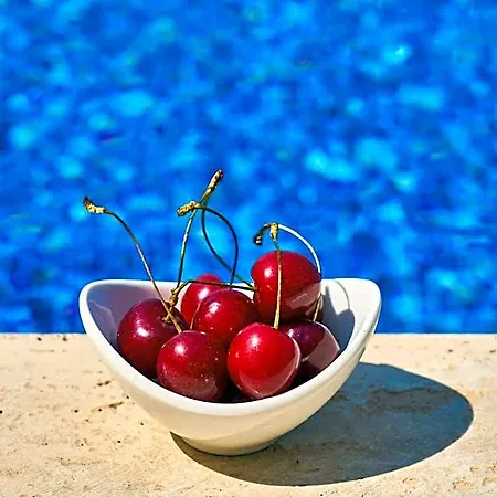 Hotel Goji Vegan